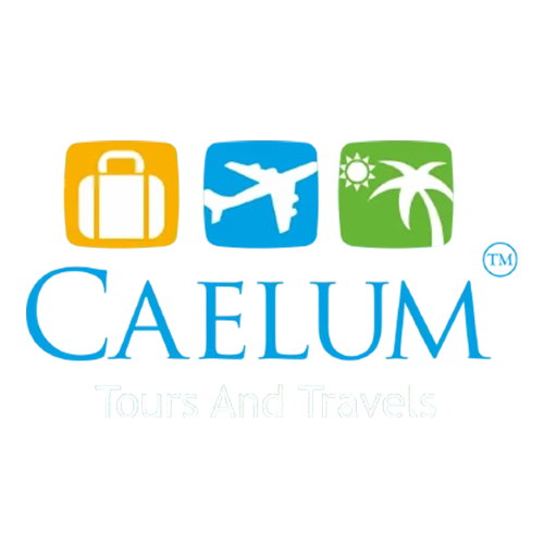 caelum tours & travels logo